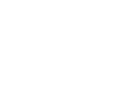Logo Payzy